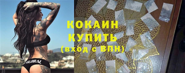 ГАЛЛЮЦИНОГЕННЫЕ ГРИБЫ Чердынь